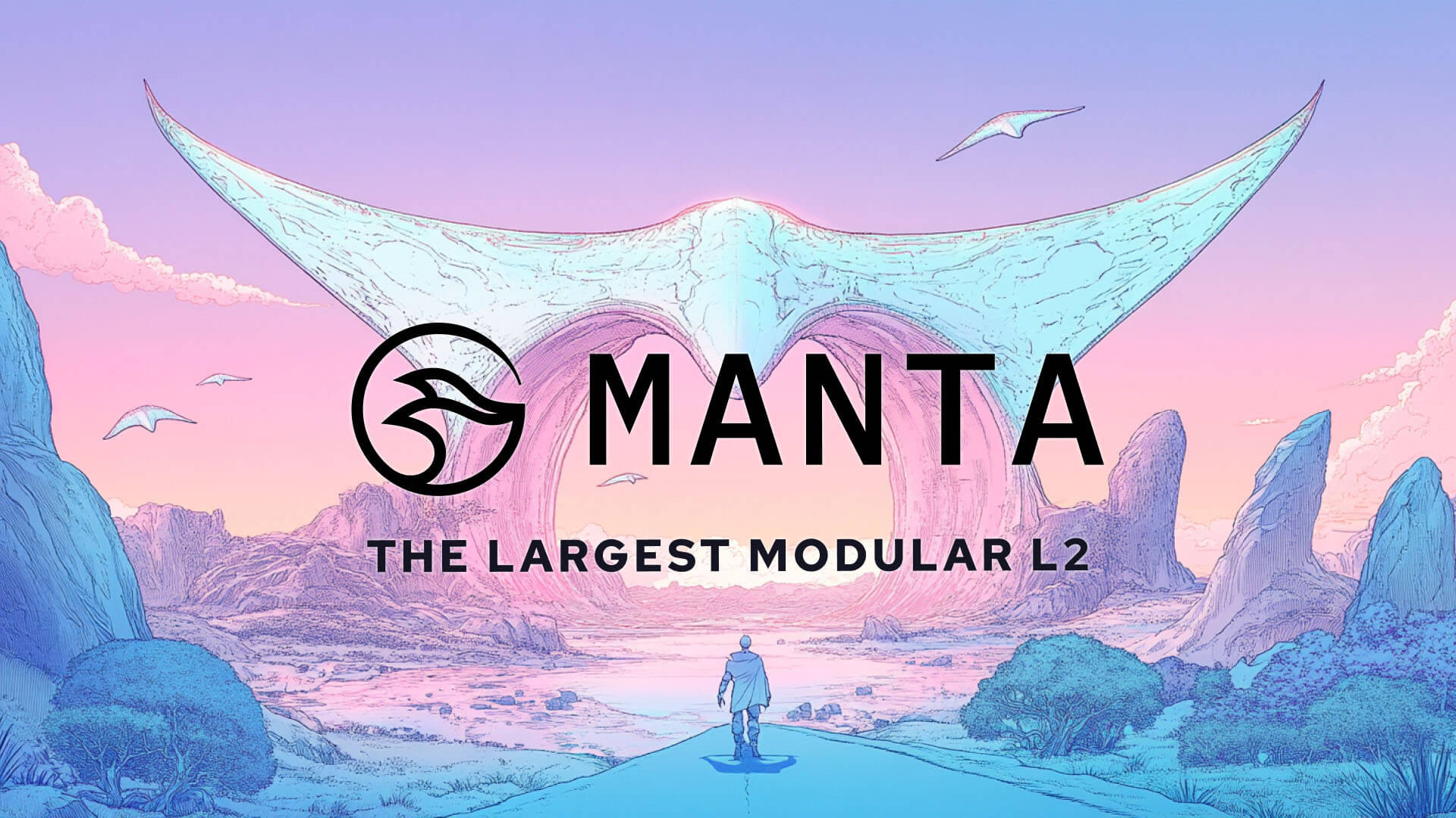 Manta network